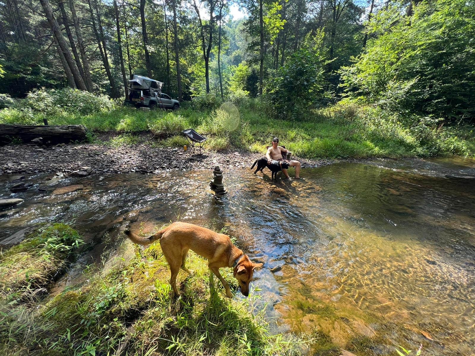 Matthew F.'s photo of camping with pets at Switzer Lake Dispersed Camping near Harrisonburg, VA