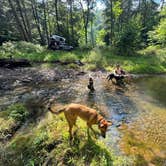 Review photo of Switzer Lake Dispersed Camping by Matthew F., August 31, 2022