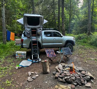 Camper-submitted photo from Switzer Lake Dispersed Camping