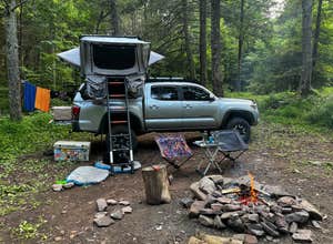 Switzer Lake Dispersed Camping