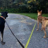 Review photo of Loft Mountain Campground — Shenandoah National Park by Matthew F., August 31, 2022