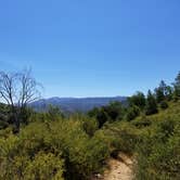Review photo of North Shore Campground - Lake Almanor by Summer A., July 25, 2018