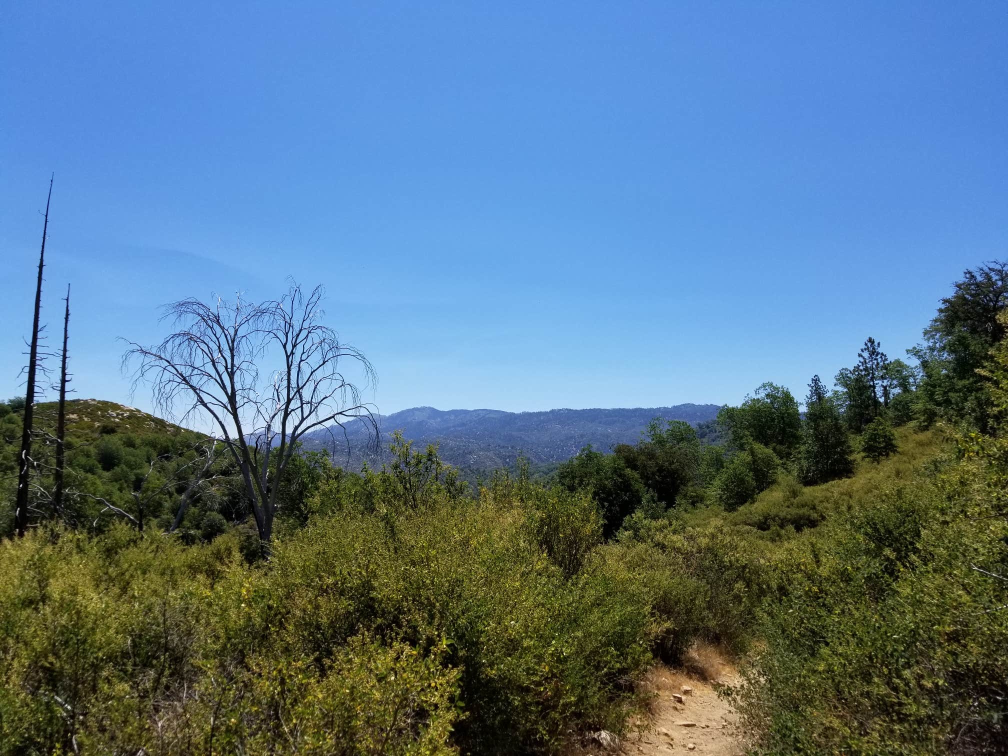 Camper submitted image from North Shore Campground - Lake Almanor - 5