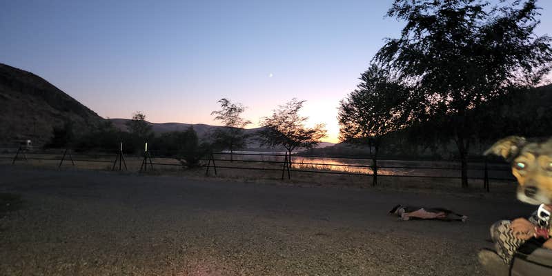 Camper submitted image from Oasis on the Snake RV Park & Campground