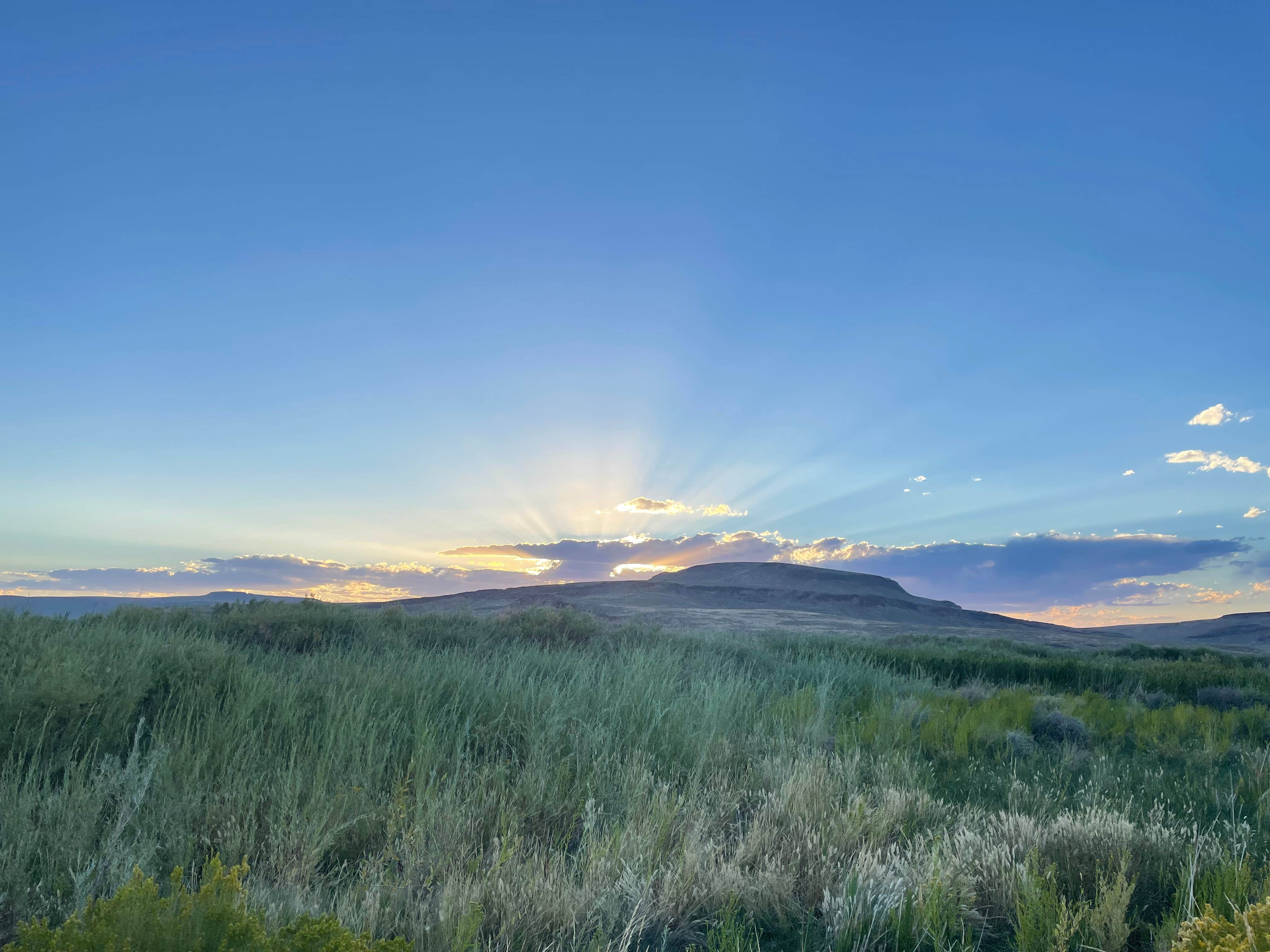 Daisee Mae S.'s photo of a dispersed camping area at Willow Creek - Willow Creek Hot Springs near Denio, NV