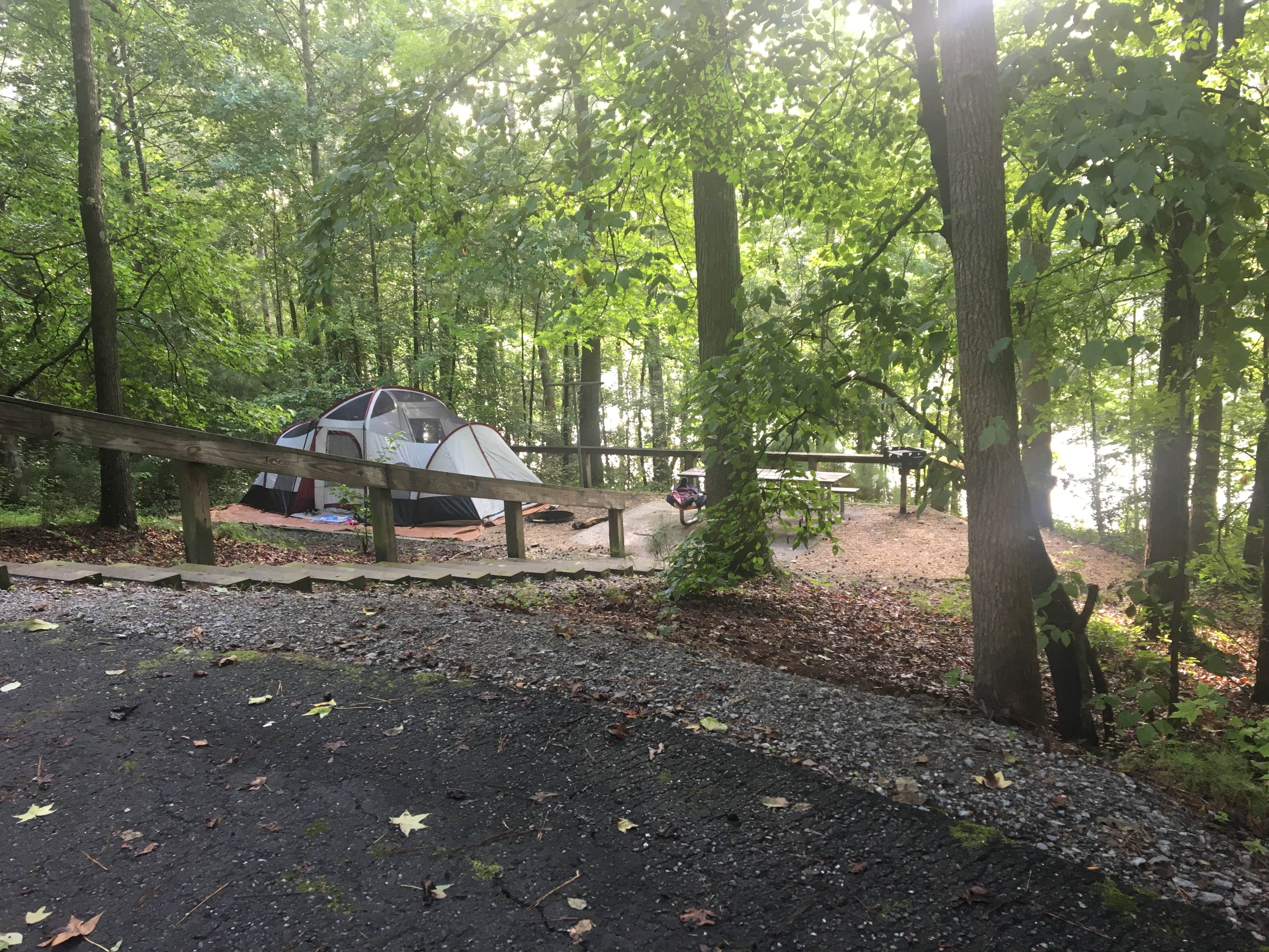 Camper submitted image from Payne Campground - 3