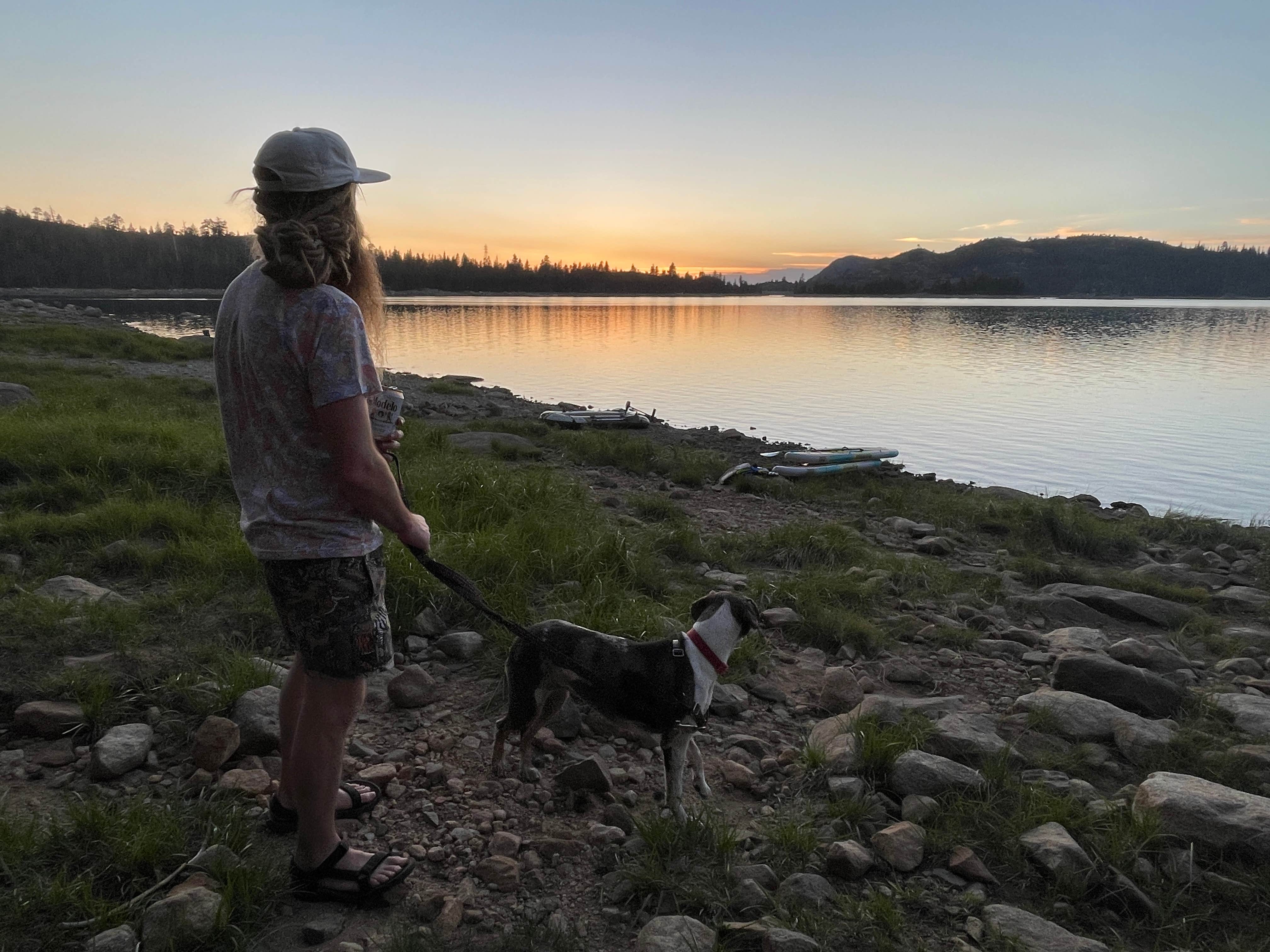 Sarah M.'s photo of camping with pets at Loon Lake near South Lake Tahoe, CA