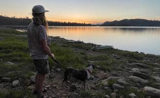 Sarah M.'s photo of camping with pets at Loon Lake near South Lake Tahoe, CA