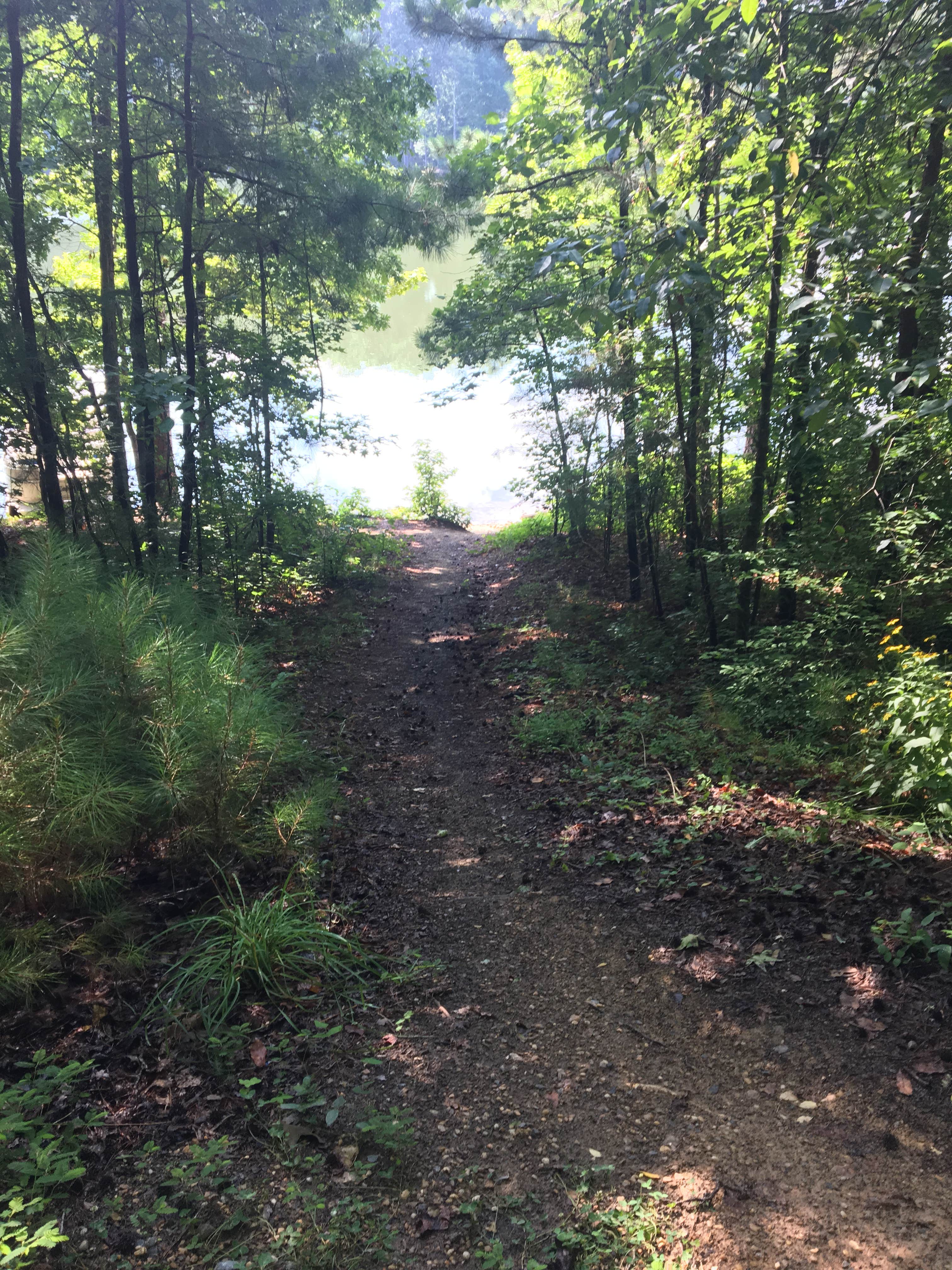 Camper-submitted photo at Payne Campground near Marietta, GA