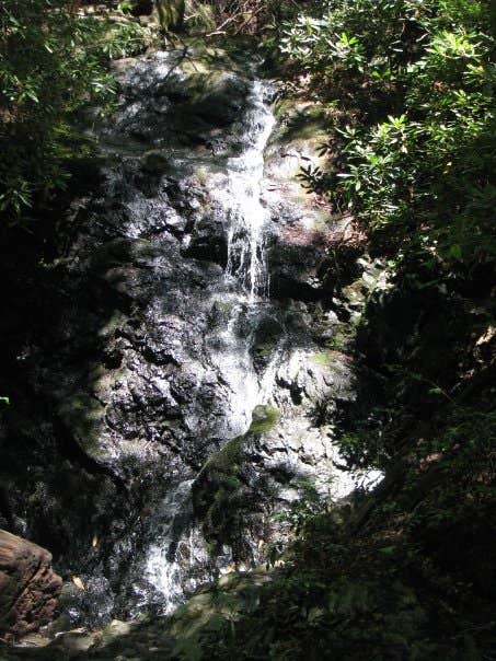 Camping near Baker's Acres: Twin Ponds Resort Campsite, Keeseville, New York
