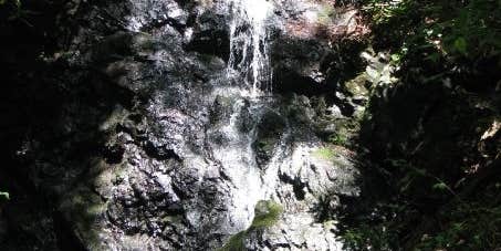 Camper submitted image from Twin Ponds Resort Campsite