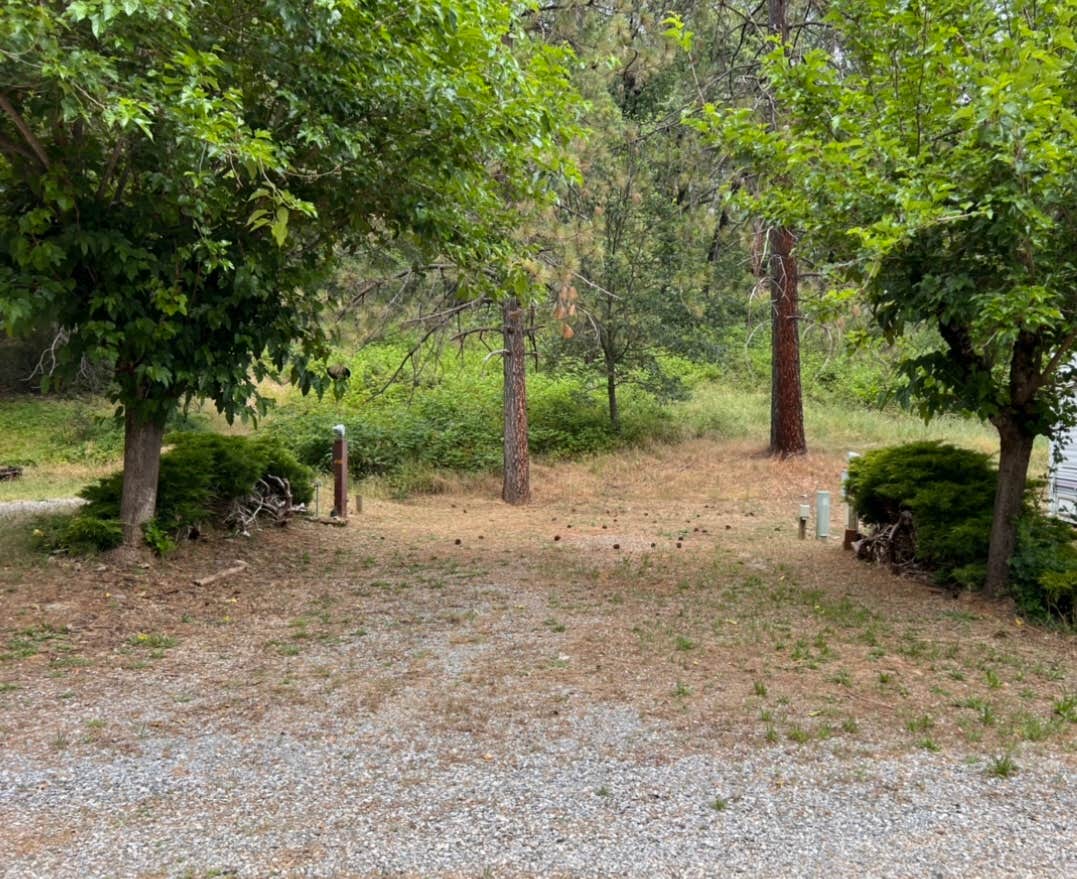 Camper-submitted photo at Trail In RV Park & Campground near Lakehead, CA