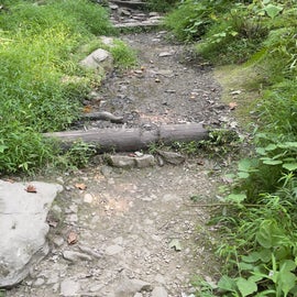 lower trail to Cunningham falls