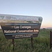 Review photo of Cieneguita Dispersed Camping Area - Las Cienegas National Conservation Area by Andrew B., August 30, 2022