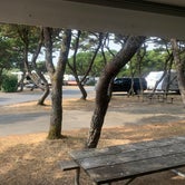 Review photo of Nehalem Bay State Park Campground by Eric G., August 31, 2022