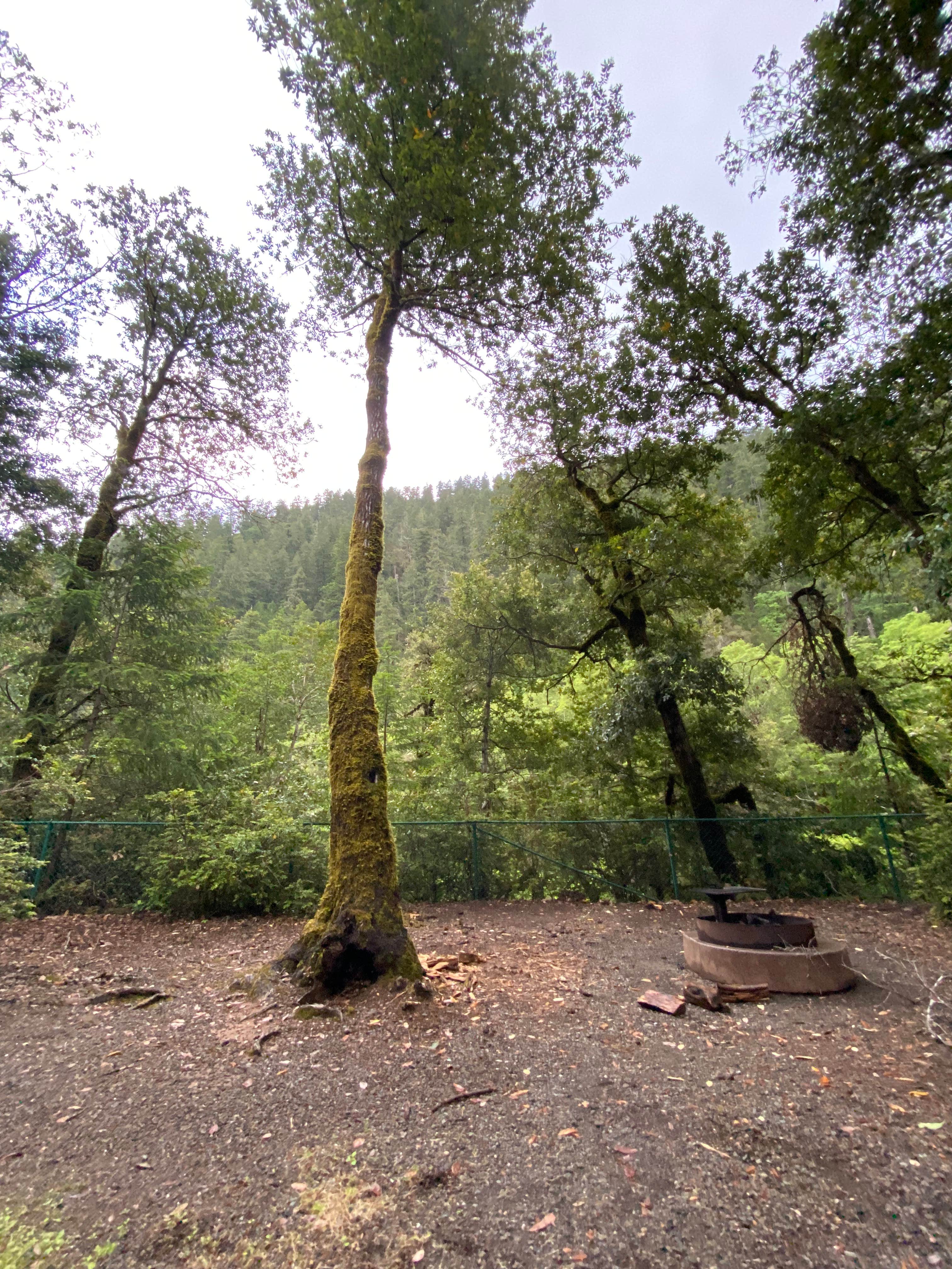 Camper-submitted photo at Patrick Creek Campground near O'Brien, OR