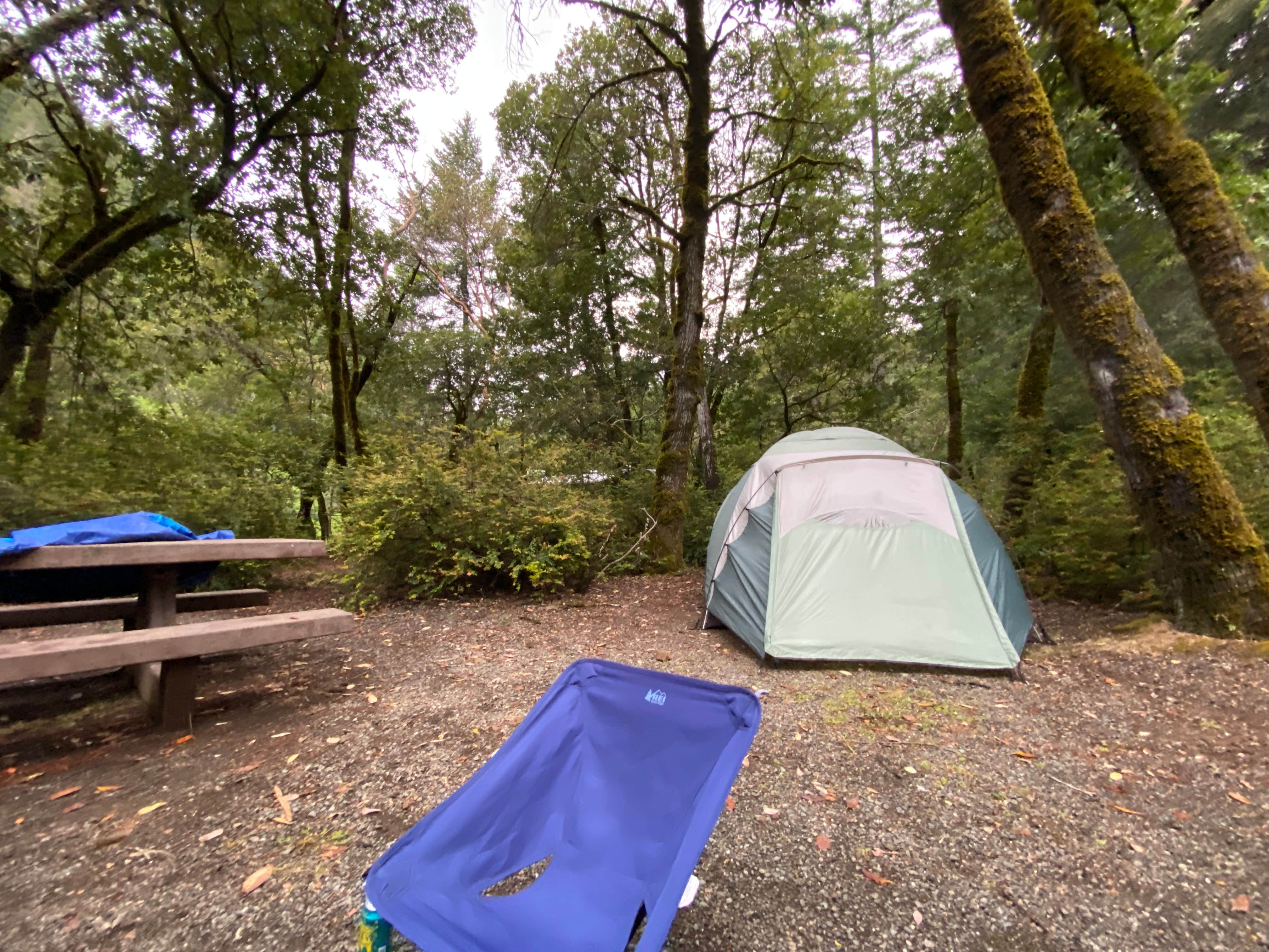 Camping near Azalea River: Patrick Creek Campground, Gasquet, California