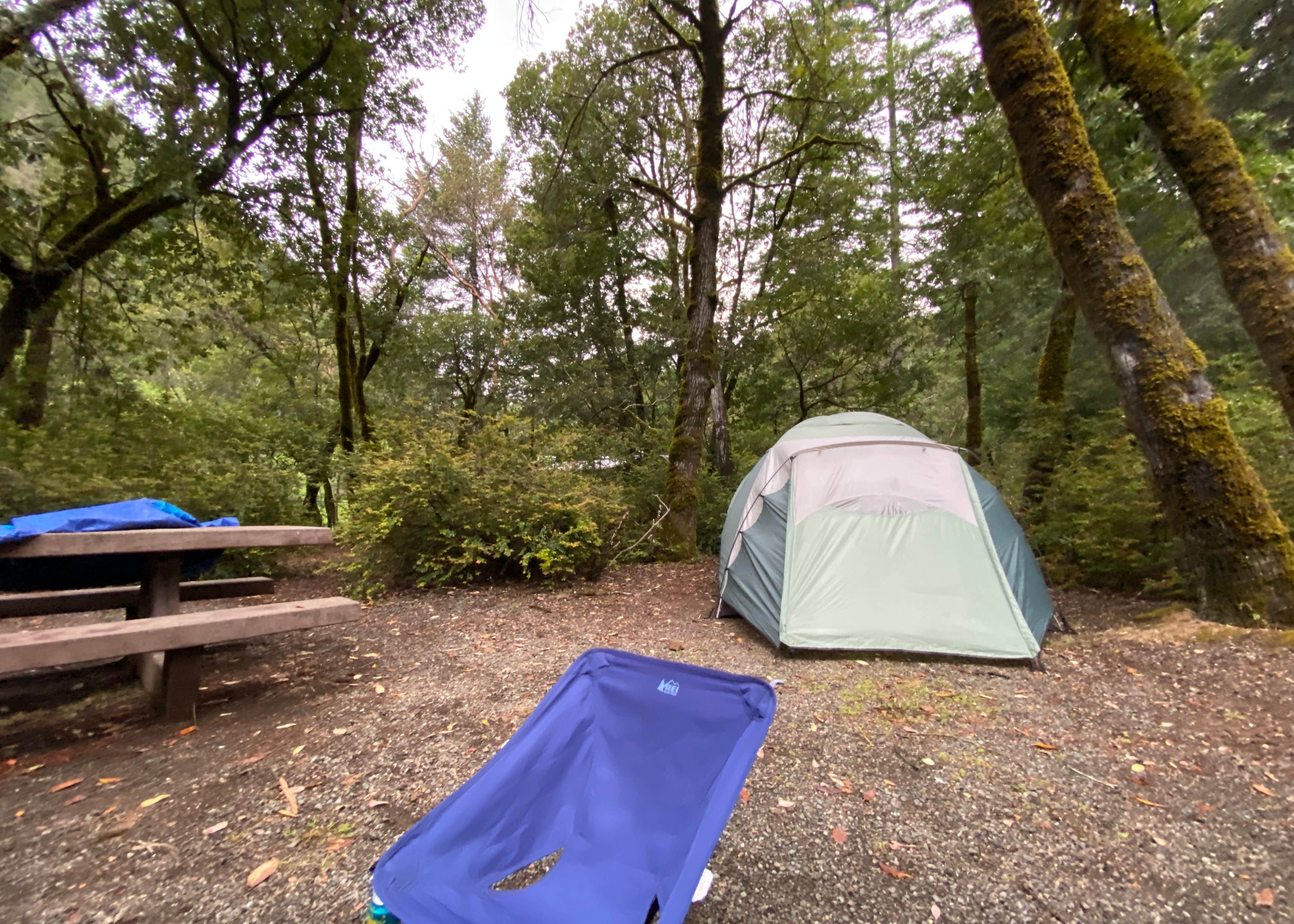 Patrick Creek Campground Camping | The Dyrt