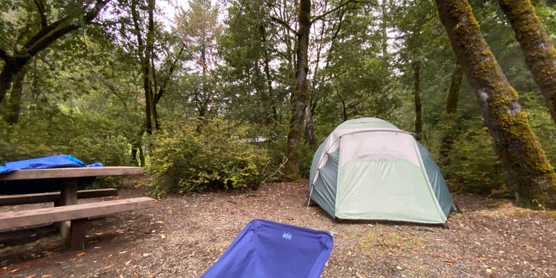 Camper submitted image from Patrick Creek Campground