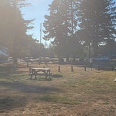 Review photo of Fern Ridge Shores RV Park and Marina - 55+ RV Park by Michael S., September 1, 2022