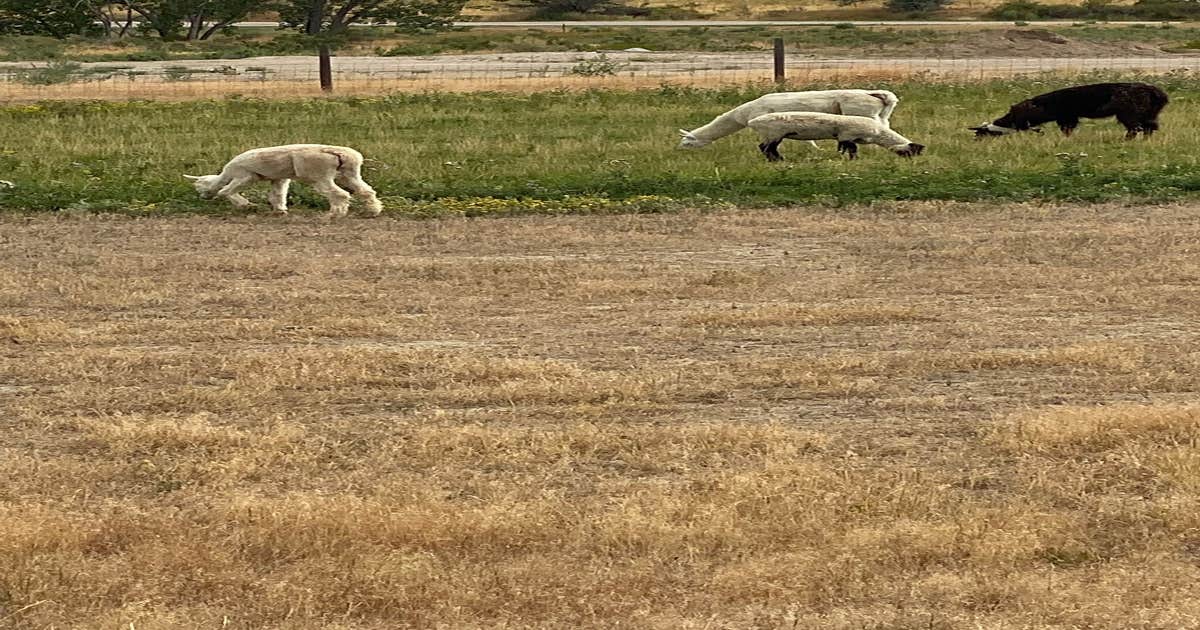 KC RV Park Kaycee, WY