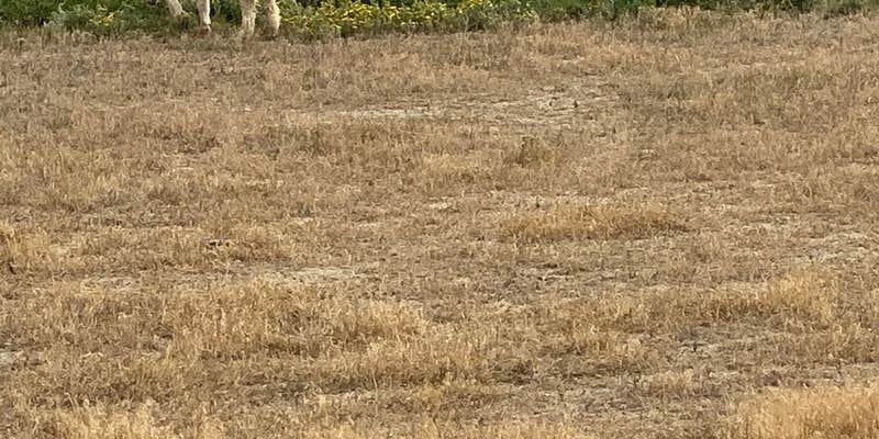 Camper submitted image from KC RV Park