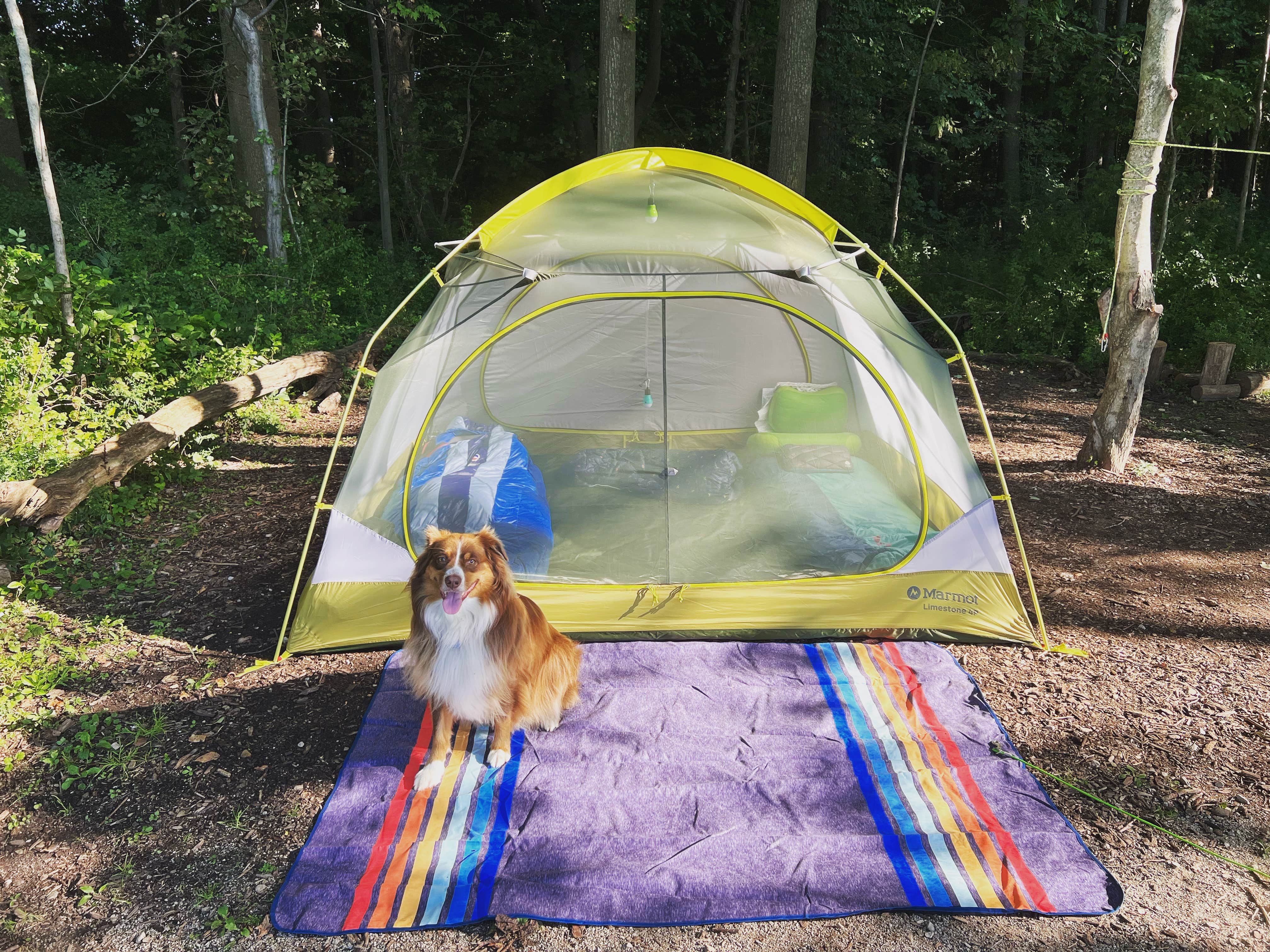 Jessica R.'s photo of tent camping at Lake Erie Bluffs near Tallmadge, OH