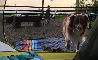 Jessica R.'s photo of camping with pets at Lake Erie Bluffs near Geneva-on-the-Lake, OH