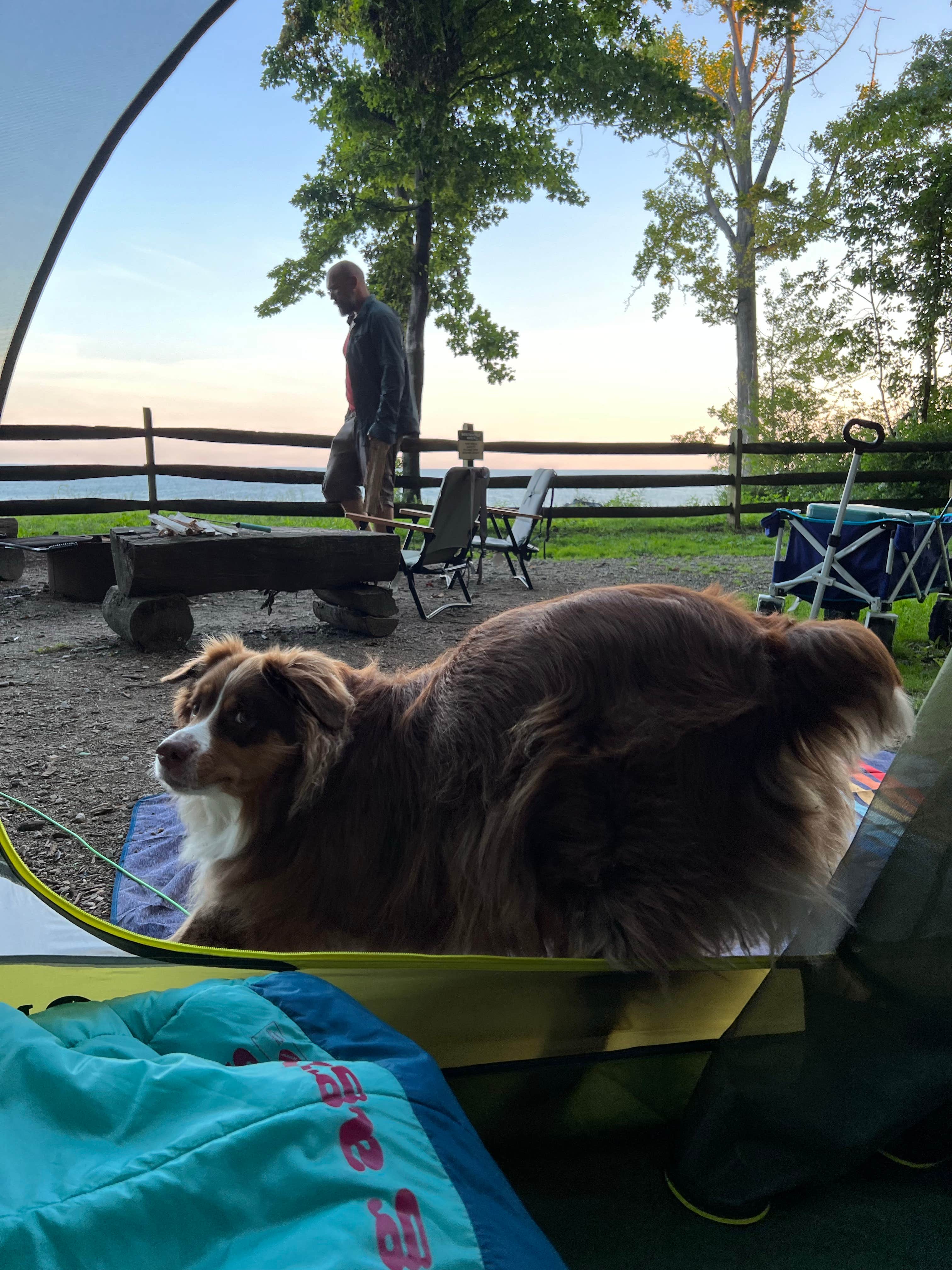 Camper submitted image from Lake Erie Bluffs - 5