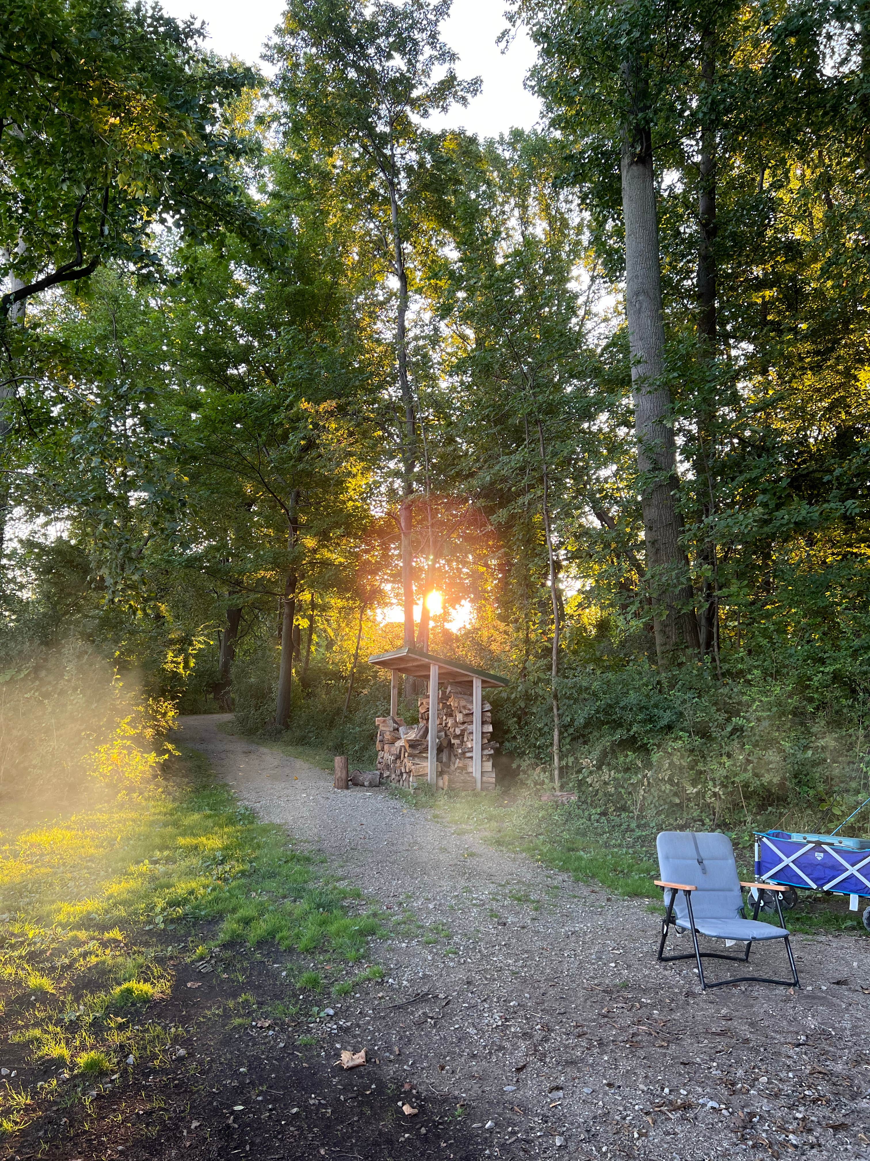 Camper submitted image from Lake Erie Bluffs - 4