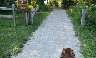 Jessica R.'s photo of camping with pets at Lake Erie Bluffs near Geneva-on-the-Lake, OH