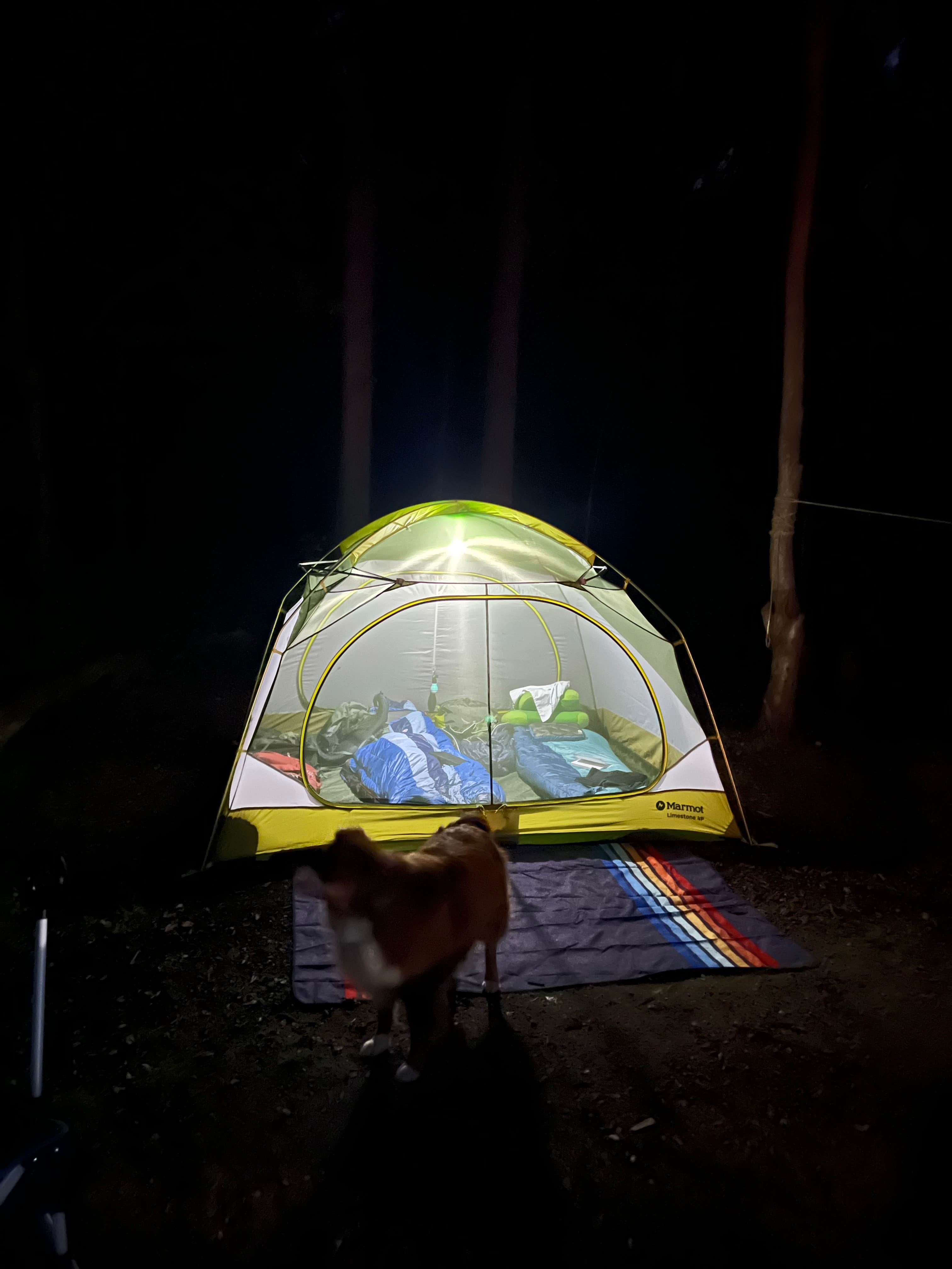 Camper-submitted photo at Lake Erie Bluffs near Jefferson, OH