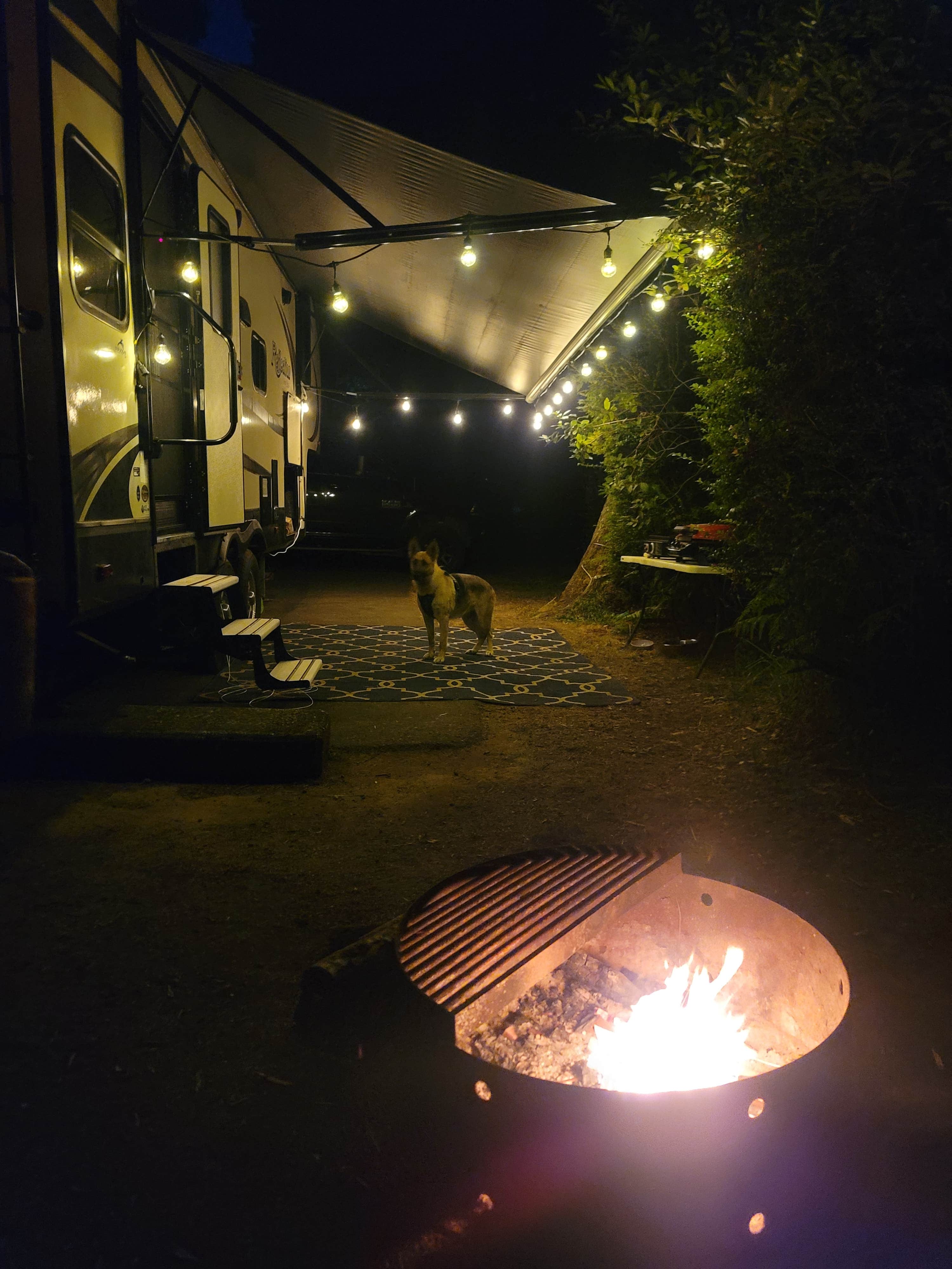 Marina's photo of camping with pets at Bullards Beach State Park Campground near Port Orford, OR