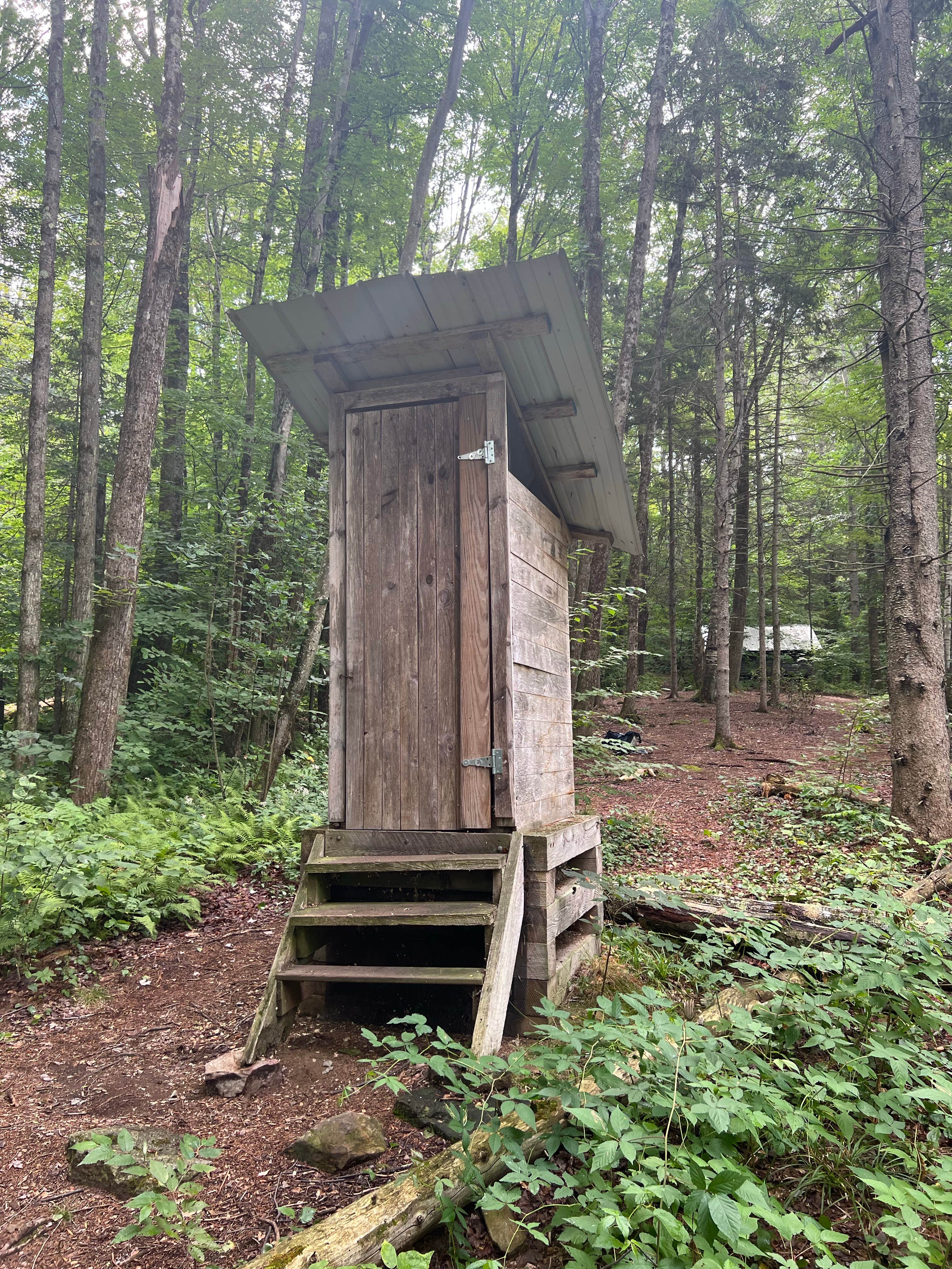 Camper submitted image from Trapper John Backcountry Campground on the AT — Appalachian National Scenic Trail - 3