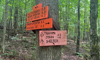 Camping near Willoughby Farm Animal Rescue: Trapper John Backcountry Campground on the AT — Appalachian National Scenic Trail, Lyme, New Hampshire