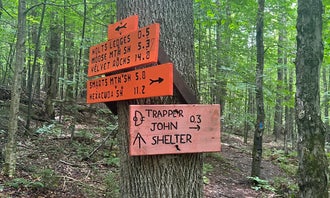 Camping near Moose Mountain Backcountry Shelter on the AT — Appalachian National Scenic Trail: Trapper John Backcountry Campground on the AT — Appalachian National Scenic Trail, Lyme, New Hampshire