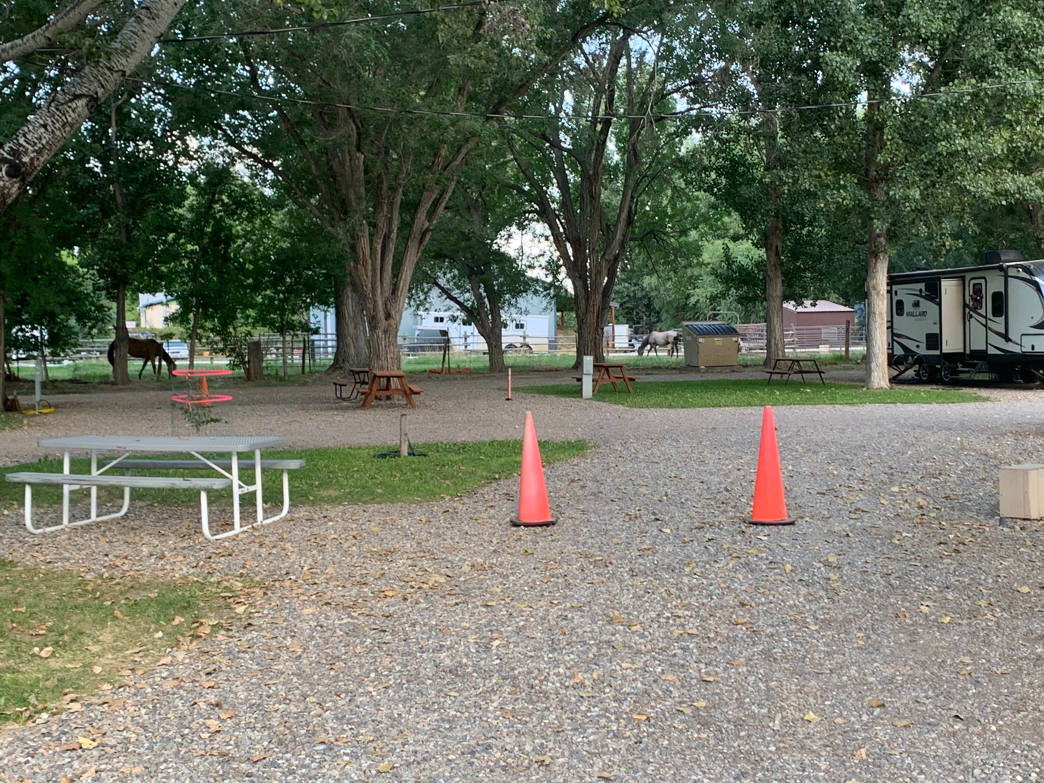 Camper submitted image from Worland RV Park & Campground - 4