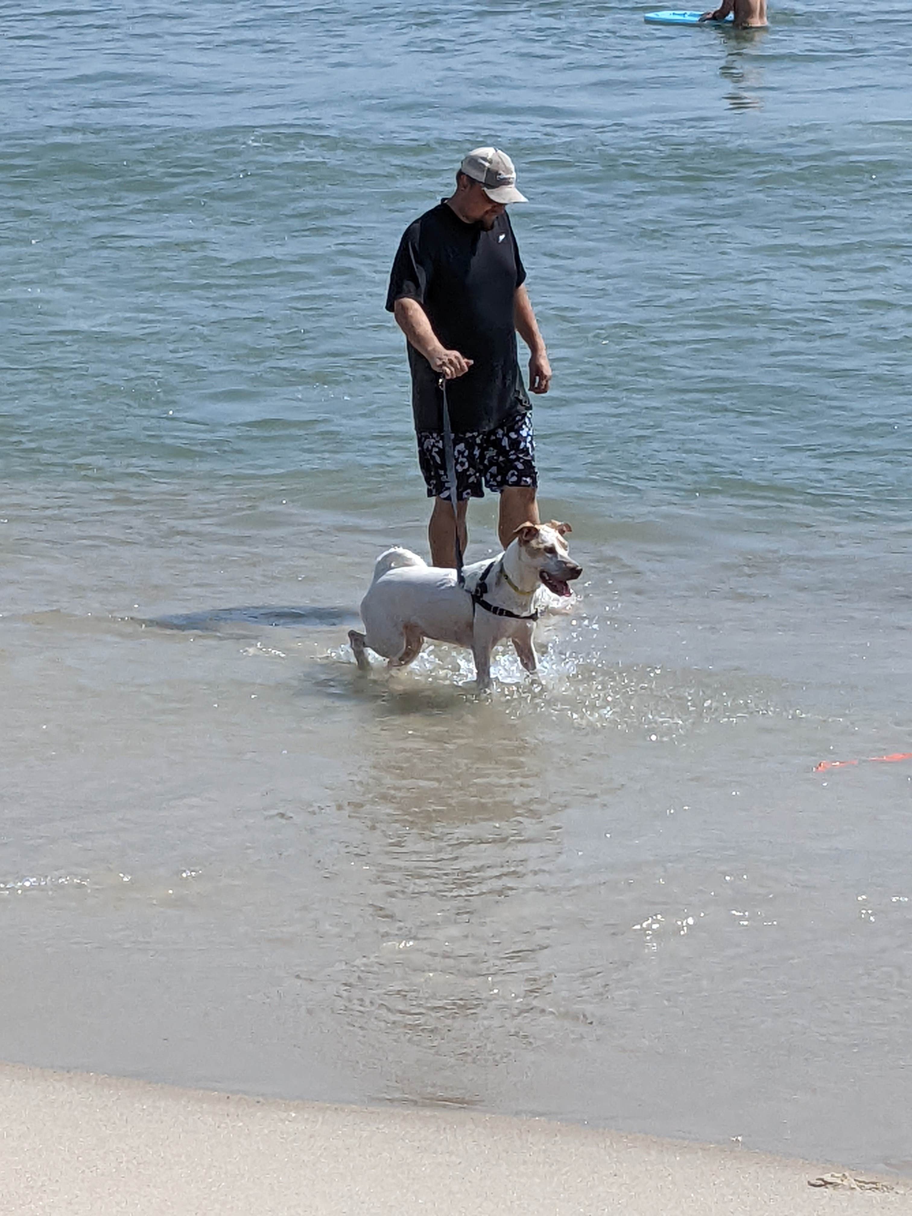 Mark's photo of camping with pets at Delaware Seashore State Park Campground near Millsboro, DE