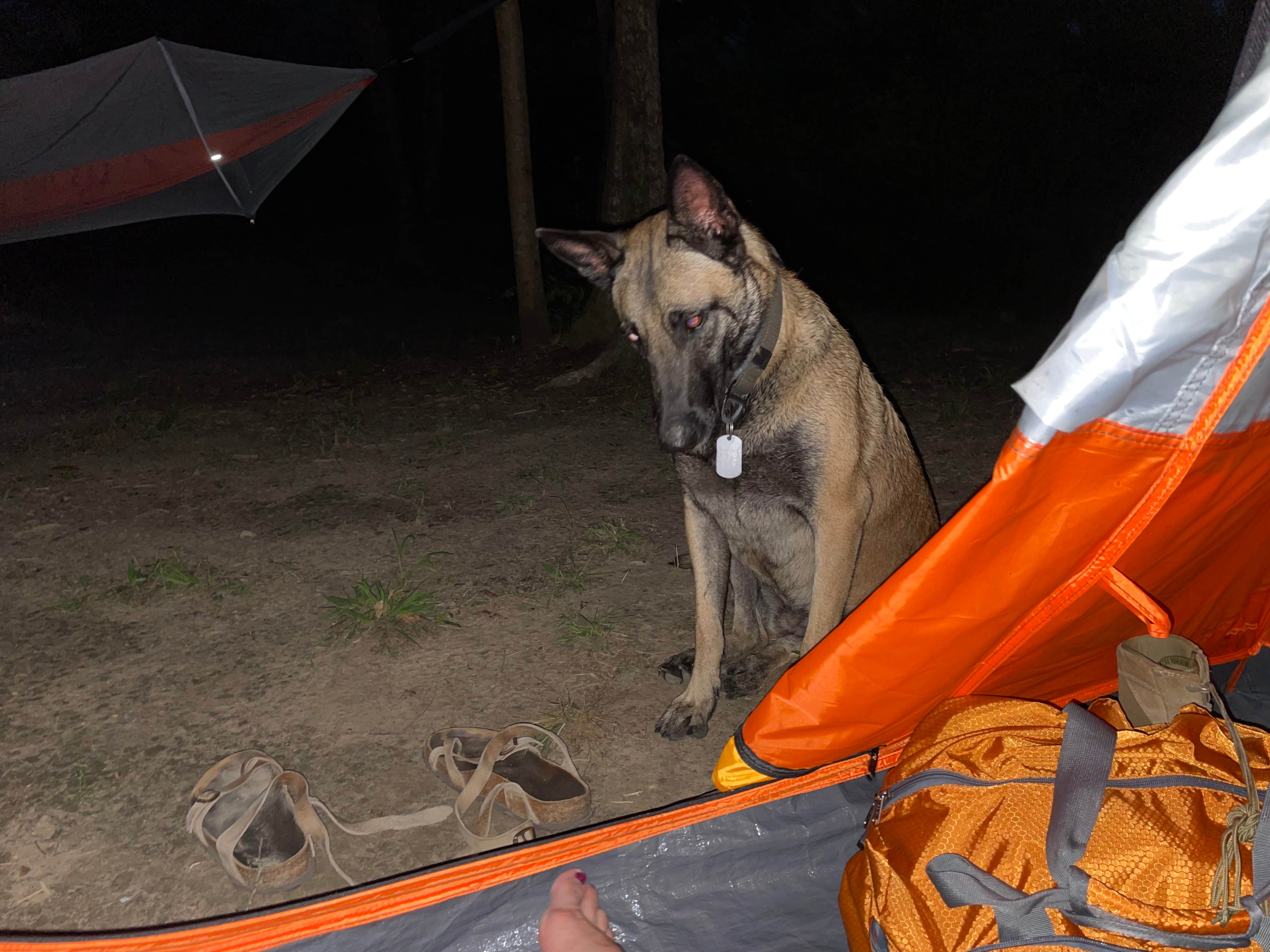 Jamie B.'s photo at Creekside Farm Co. near Pass Christian, MS