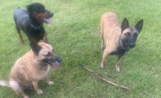 Jamie B.'s photo of camping with pets at Creekside Farm Co. near Gulfport, MS