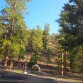 Review photo of McWilliams Campground by Deacon J., July 25, 2018