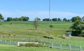 Naimhe R.'s photo of tent camping at Goatland near Darien, WI