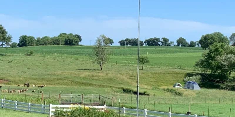 Camper submitted image from Goatland