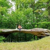 Review photo of Blue Heron Campground — Big South Fork National River and Recreation Area by Katrin M., September 1, 2022