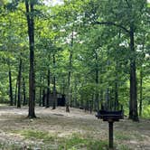 Review photo of Hickory Nut Mountain by Nicole G., September 1, 2022