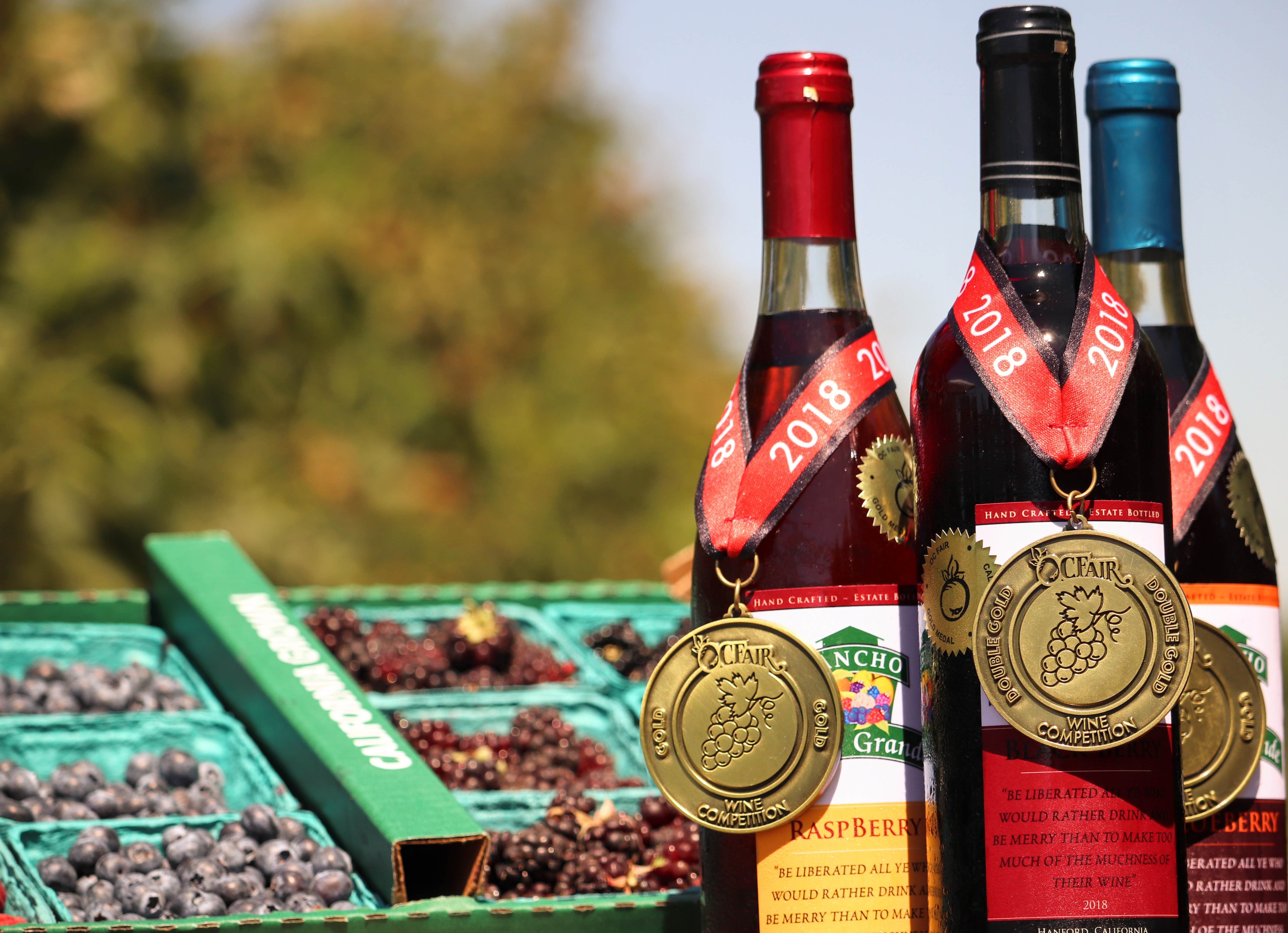 Camper-submitted photo at Rancho Notso near Stratford, CA