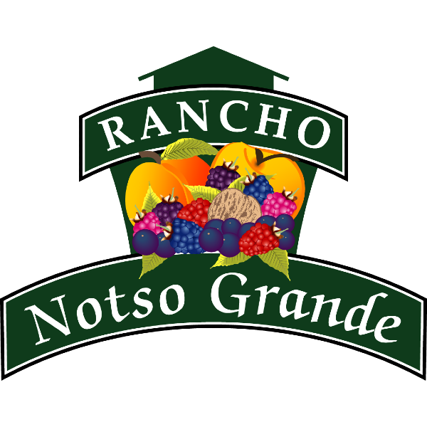 Camper submitted image from Rancho Notso - 1