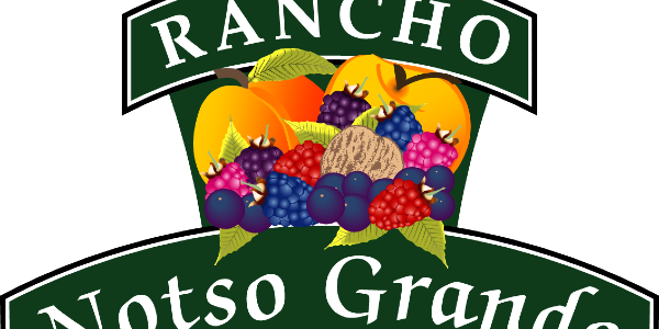 Camper submitted image from Rancho Notso