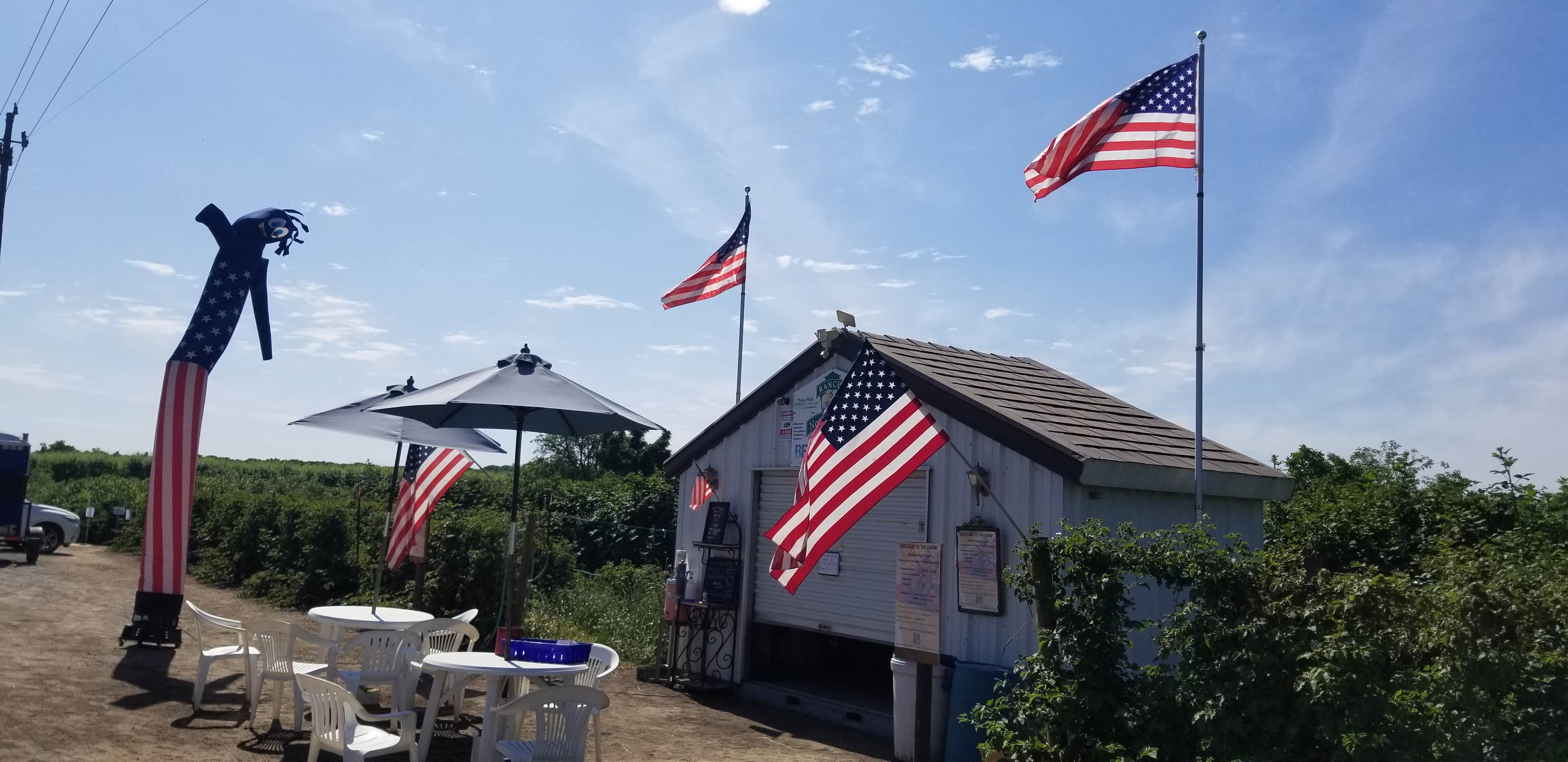 Camper-submitted photo at Rancho Notso near Stratford, CA