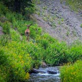 Review photo of Mazama Village Campground — Crater Lake National Park by Tj B., July 25, 2018